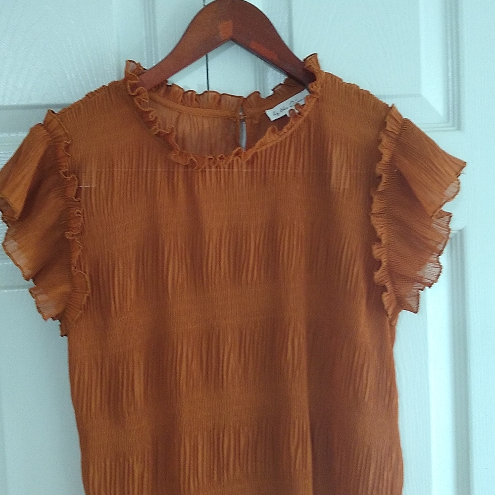 Beautiful Fall shir ruffles shirt top size small - Picture 2 of 8